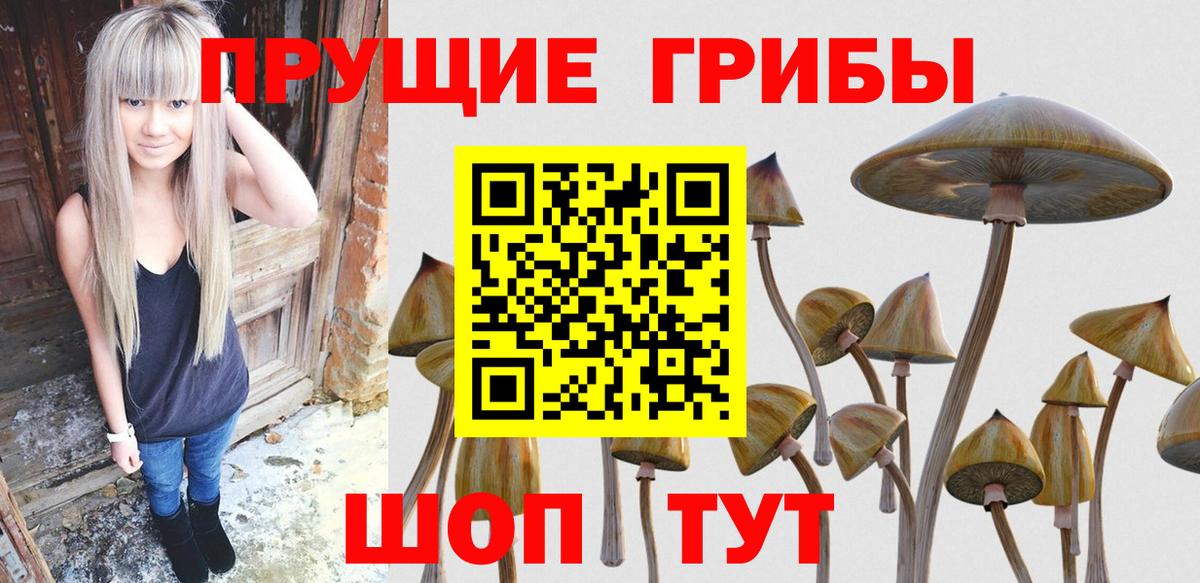Псилоцибиновые грибы Psilocybine cubensis  Галлюциногенные грибы Cubensis  Вход с VPN  Волжский 