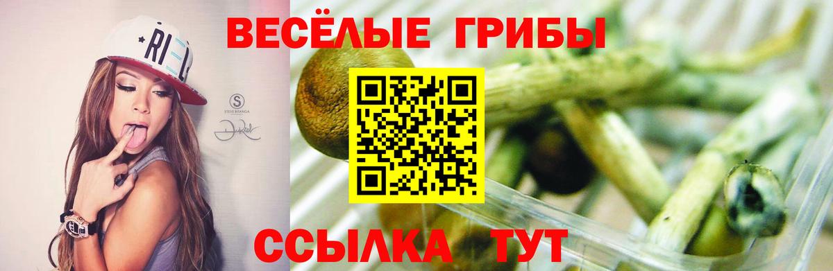 Галлюциногенные грибы Magic Shrooms Волжский